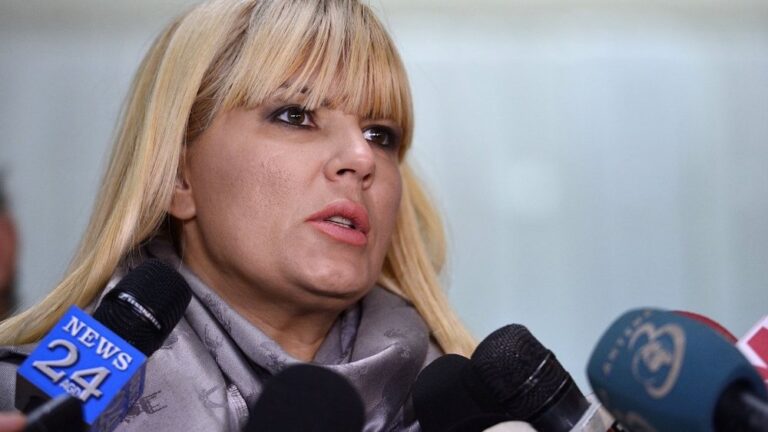 Elena Udrea, condamnata definitiv la 6 ani de inchisoare cu executare in dosarul Gala Bute